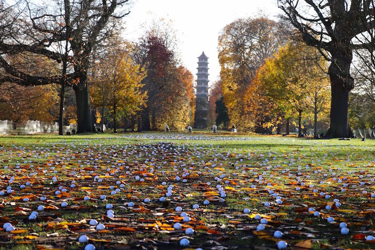 Orange leaves on trees in Kew Gardens, London, in autumn