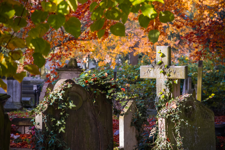 Green, red, yellow and orange leaves in various shades on different trees overhanging gravestones.