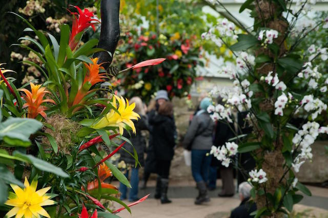 Win Tickets For Kew Gardens Spicy Summer Lates