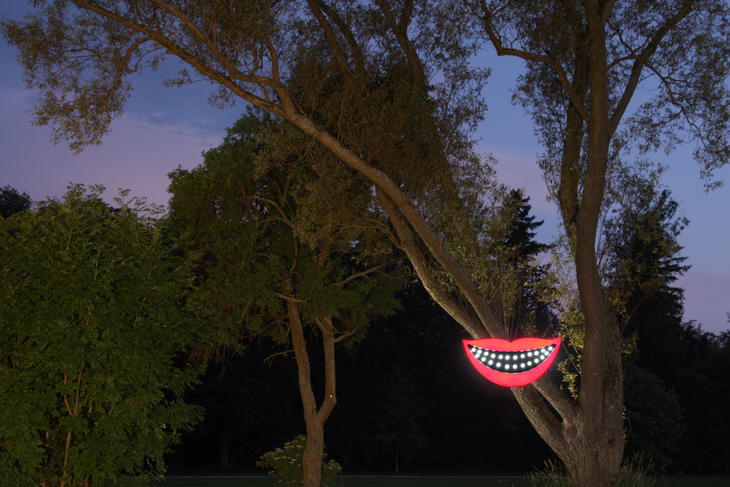 A Cheshire Cat smile in a tree