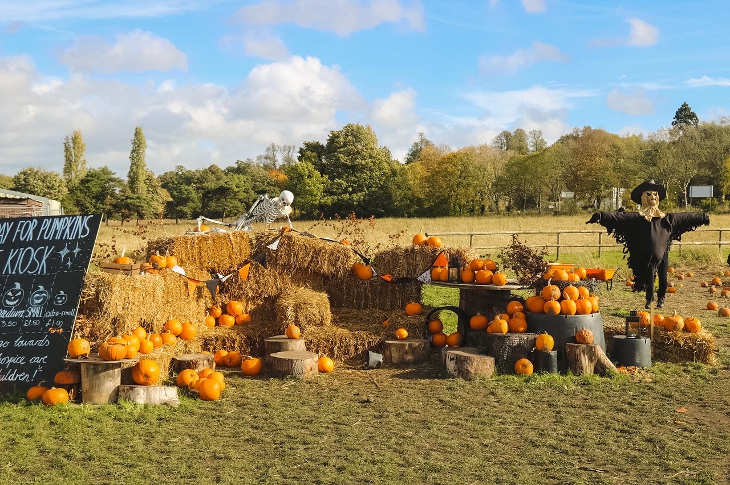 A stack of hay bales decorated with pumpkins, and a scarecrow standing alongside.